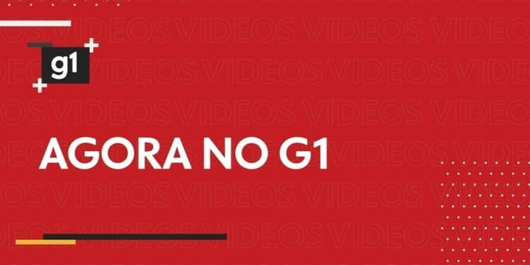 PM ajuda em parto e salva bebê de mulher em situação de rua no AP: 'desistir não era uma opção’