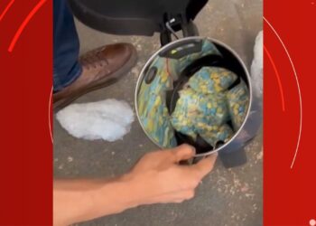 Dupla é presa em flagrante com ecstasy trazido do Rio de Janeiro para o Amapá