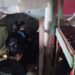 Investigação aponta presos do Iapen como articuladores do tráfico em bairro de Santana