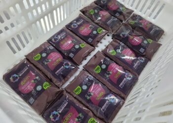 Cooperativa do Amapá fecha contrato para exportar 15 mil toneladas de açaí à China até 2031