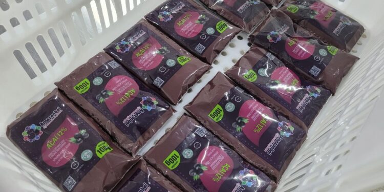 Cooperativa do Amapá fecha contrato para exportar 15 mil toneladas de açaí à China até 2031