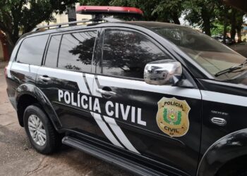 Homem é indiciado por matar cadela a pauladas em Macapá