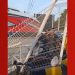 VÍDEO: lancha se solta de carretilha e invade estacionamento de supermercado no Amapá