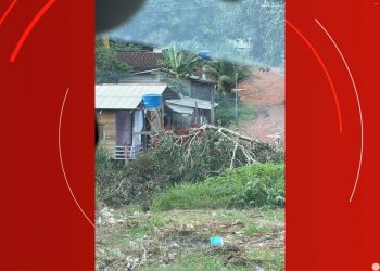 Árvore em meio à fiação elétrica preocupa moradores em Macapá; VÍDEO